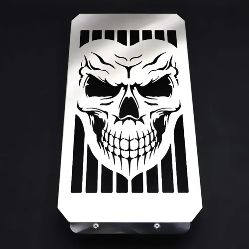 Cubierta de radiador de motocicleta, protector de rejilla de parrilla compatible con Honda VTX1800 VTX 1800 C F N R S T (plata brillante)