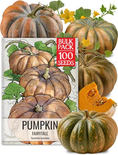 Miniatura 11 de Seed Needs Connecticut - Semillas de calabaza de campo para plantar 1 onza Cucurbita Pepo Heirloom semillas vegetales sin OGM Calabaza favorita