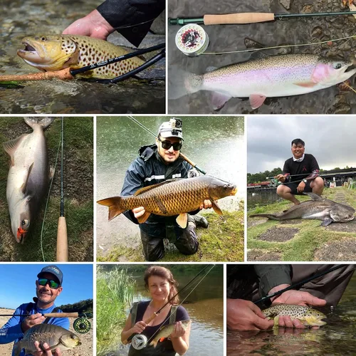 Miniatura 7 de M MAXIMUMCATCH Maxcatch Extreme - Caña de pescar con mosca de grafito extremo, 4 piezas, 9 pies con carbono IM6 en blanco, guías cromadas duro
