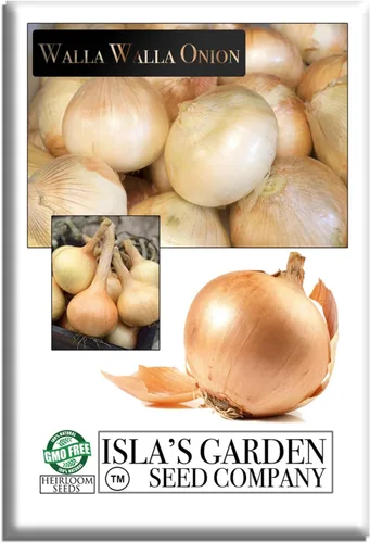Walla Walla - Semillas de cebolla dulce española (Allium cepa) – Más de 300 semillas de reliquia sin OMG de Isla's Garden Seeds, sabor extra dulce y