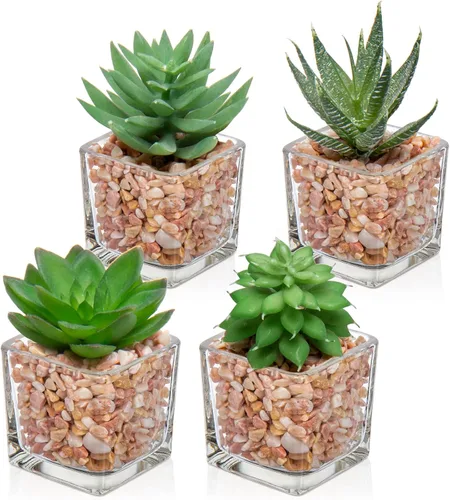 Briful Mini plantas falsas, 4 paquetes de suculentas, plantas artificiales en maceta en cubo, jarrón de vidrio, suculentas artificiales para baño, 4