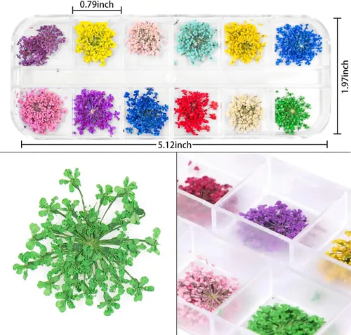 Miniatura 2 de 2 cajas de flores secas para uñas, mini flores de uñas reales 3D, flores secas, calcomanías de uñas, decoración de uñas, decoración de manicura