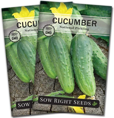 Sow Right Seeds - Semillas de pepino de encurtido nacionales para plantar - Paquete de reliquia sin OMG con instrucciones para plantar y cultivar un