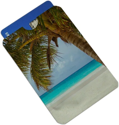 Miniatura 2 de Juego de 4 fundas para cartera con diseño de palmeras tropicales para playa y océano