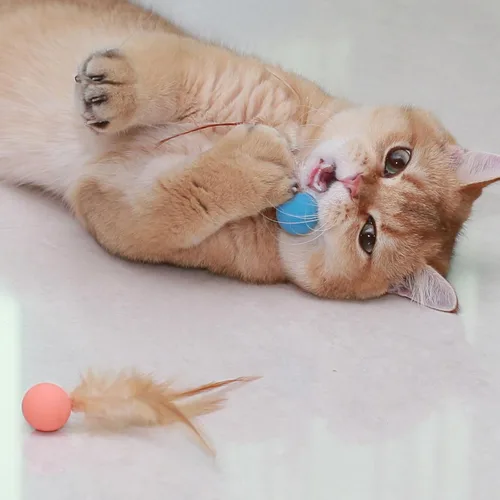 Miniatura 6 de Pelotas de juguete para gatos con plumas, 3 pelotas interactivas para gatos de interior y gatitos juguetones, juguetes de goma