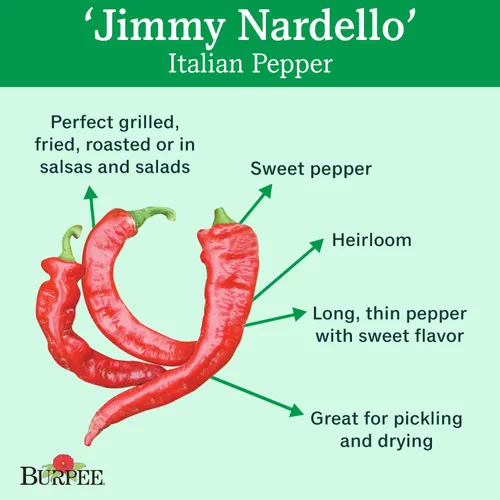 Miniatura 2 de Burpee Semillas de pimiento dulce de Jimmy Nardello 30 semillas