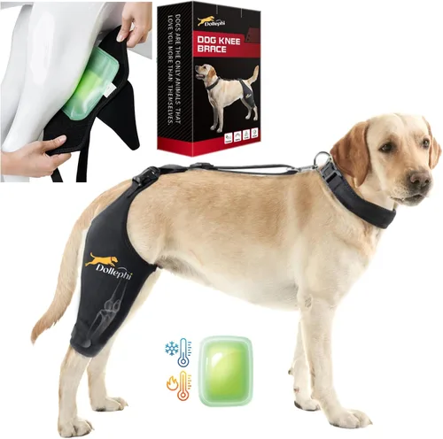 Miniatura 8 de Rodillera para perro para pierna trasera desgarrada del ligamento cruzado anterior, compresión caliente/fría para luxación de rótula u