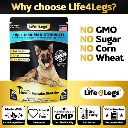 Miniatura 6 de Suplemento prémium para cadera y articulaciones para perros, glucosamina para perros con condroitina, MSM, cúrcuma y omega 3, suplemento diario