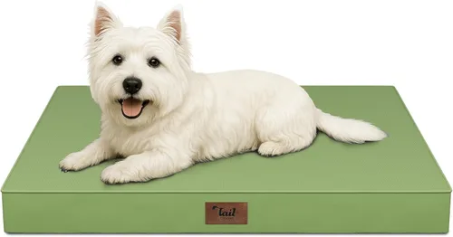 Miniatura 82 de Cama ortopédica de felpa para perros y cachorros medianos, camas impermeables para perros de 30 x 20 pulgadas con funda extraíble lavable, tapete