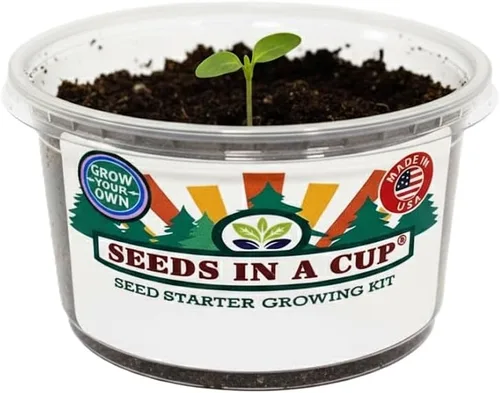 Miniatura 6 de Kit de cultivo de hierbas Iniciador de jardín de hierbas para interiores Semillas y tierra de primera calidad Paquete de 3 hierbas Múltiples