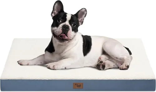 Cama ortopédica de felpa para perros y cachorros medianos, camas impermeables para perros de 30 x 20 pulgadas con funda extraíble lavable, tapete