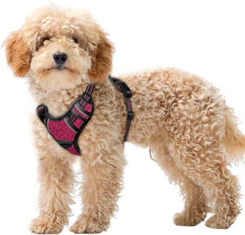 Miniatura 81 de BARKBAY Arnés para Perro Sin Tirones Talla Grande Arnés Reflectante para Perro con Clip Frontal y Asa de Control Fácil para Caminar Entrenar Correr