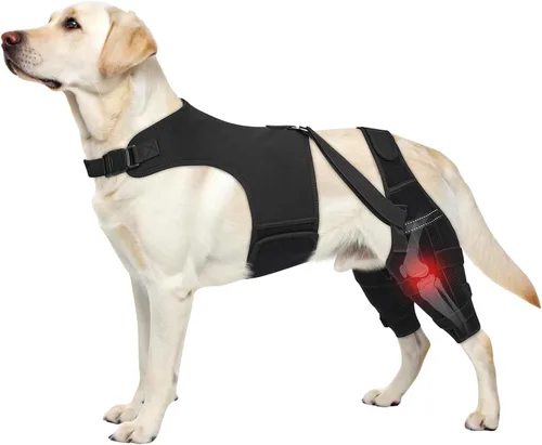 Miniatura 9 de Rodillera para perro para piernas traseras desgarradas del ligamento cruzado anterior con chaleco, soporte ajustable para piernas de perro con 4