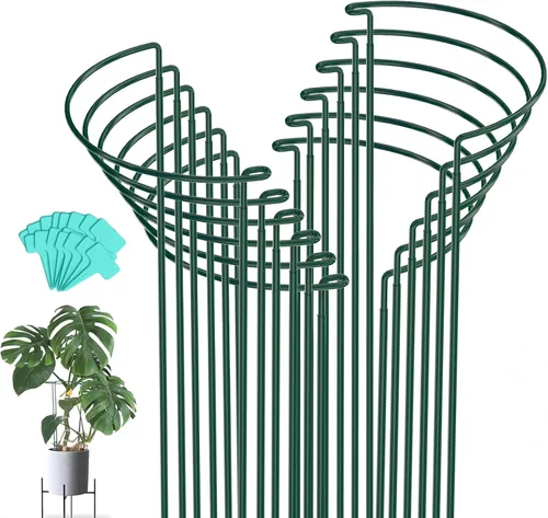 Miniatura 7 de Joyhalo Paquete de 12 estacas de soporte para plantas, estacas de 16 pulgadas para plantas al aire libre, jaulas y soportes de peonía, jaula