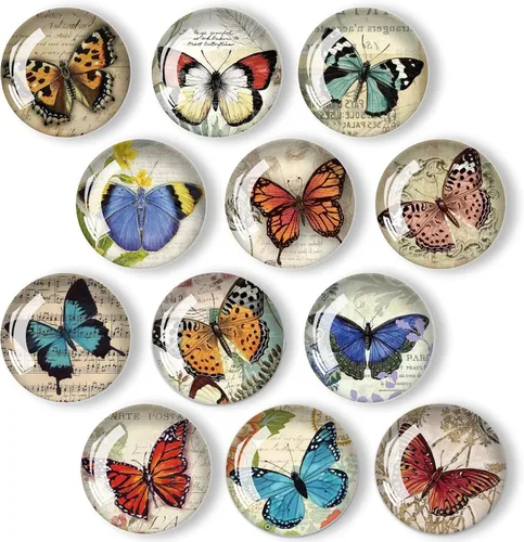 Miniatura 10 de 12 imanes de pájaros para refrigerador, imán redondo magnético de vidrio para decoración de nevera para taquilla, oficina escolar, pizarra blanca