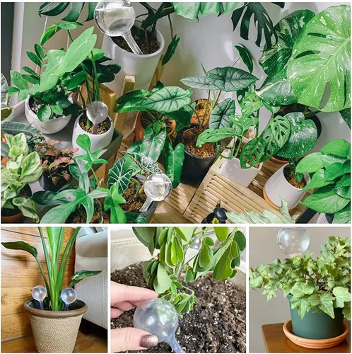 Miniatura 5 de 10 globos transparentes de riego de plantas, bombillas de plástico de riego automático, dispositivo de riego automático de flores, bebedero