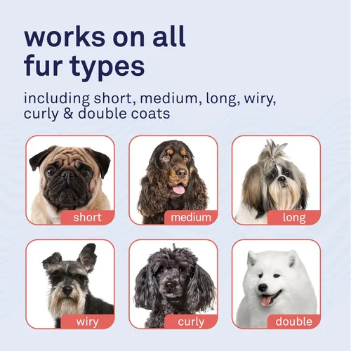 Miniatura 5 de Petpost Champú de argán para perros. Champú para perros con aceite de argán y aloe. Hidrata la piel seca, suaviza el pelaje, restaura el brillo. 8