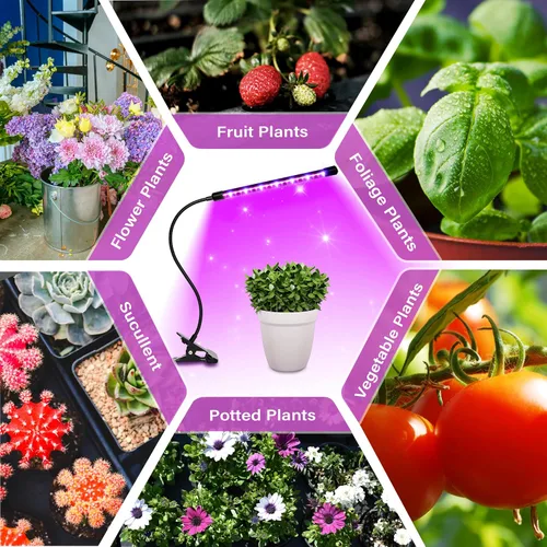 Miniatura 7 de iPower 21 Luz LED de Crecimiento con Espectro Completo para Plantas de Interior, Cuello de Cisne Ajustable, 3 Modos de Luz y 10 Niveles Regulables