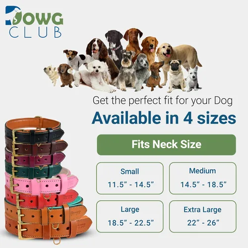 Miniatura 5 de Collar de perro de cuero genuino, grano completo, acolchado interior transpirable, hebilla acolchada, resistente, ajustable para razas pequeñas