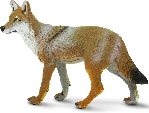 Miniatura 7 de Safari Ltd. Figura de Coyote – Figura de modelo realista de 3.75 pulgadas – Juguete educativo para niños, niñas y niños a partir de 1 año