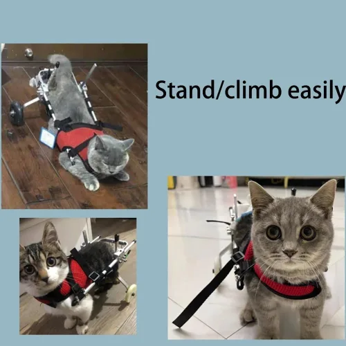 Miniatura 5 de Silla de ruedas ajustable para gatos, silla de ruedas para mascotas totalmente personalizable para perros y gatos pequeños con correa de pecho a