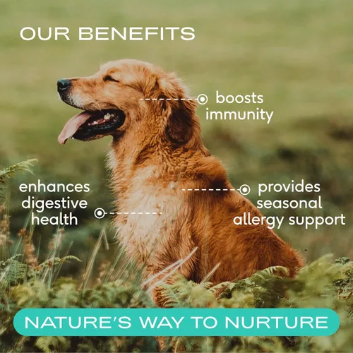 Miniatura 3 de Native Pet The Daily Dog Vitaminas y Suplementos (30 cucharadas) y calostro bovino en polvo (120 cucharadas) – Multivitamínico 11 en 1, alivio