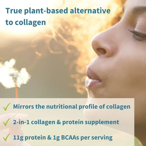 Miniatura 3 de Igennus Advanced Vegan Vanilla Collagen Peptide Powder, mejorado con glicina, prolina e hidroxiprolina y cofactor vitamina C, sin OMG, refuerzo