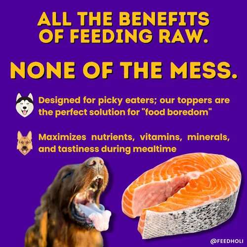 Miniatura 2 de HOLI Alimento de salmón liofilizado para perros, con Omega 3 y 6, un solo ingrediente, salmón capturado en la naturaleza de grado humano