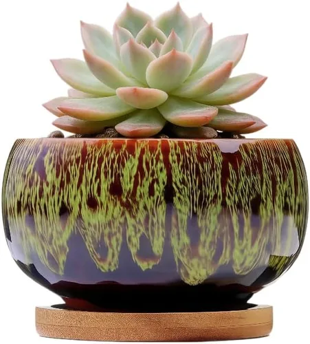 Miniatura 57 de Bonita maceta circular de cerámica para decoración del hogar y jardín, suculentas, cactus, maceta no incluida (azul, 3.19 pulgadas)