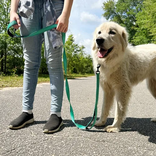 Miniatura 7 de Joytale - Correa resistente para perros grandes que tiran, doble asa para control de tráfico, correas reflectantes de doble cara para perros grandes