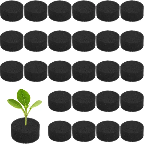 Miniatura 8 de M METERXITY Paquete de 50 esponjas hidropónicas, esponjas cilíndricas de medio de cultivo de 1.97 pulgadas para plantar herramientas de Blanco