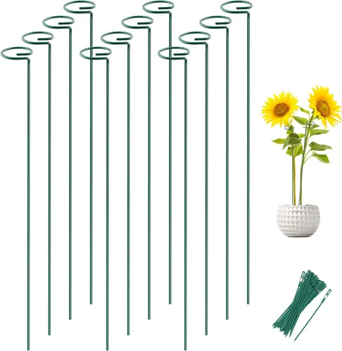Miniatura 15 de Joyhalo Paquete de 12 estacas para plantas, estacas de soporte para plantas de 16 pulgadas, soporte de palos para plantas con 24 lazos giratorios