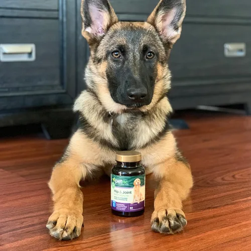 Miniatura 7 de Petnc Level-1 Suplemento de salud de cadera y articulaciones para perros jóvenes (60 unidades), 500 mg de glucosamina, 100 mg de condroitina, 10 mg