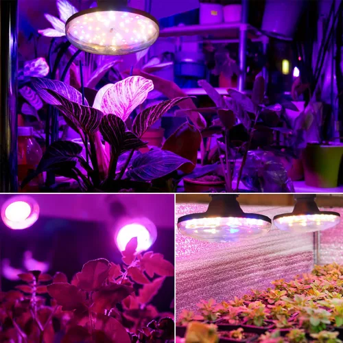 Miniatura 5 de Luces LED de cultivo para plantas de interior, lámpara de cultivo de plantas de espectro completo, E26/E27 10W luz de crecimiento, luz