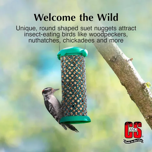 Miniatura 3 de C&S Pepitas de sebo para pájaros carpinteros, comida para pájaros silvestres al aire libre para pájaros carpinteros, parpadeo y más, 27 onzas