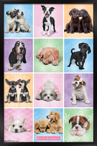 Trends International Póster de pared Puppies Cuties, 22.375 x 34 Versión con marco negro
