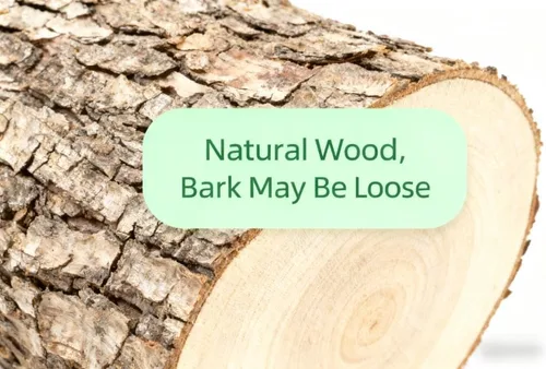 Miniatura 5 de Rebanadas de madera para centros de mesa, 7-8 pulgadas, paquete de 2 astillas de madera redondas sin terminar de la naturaleza para manualidades