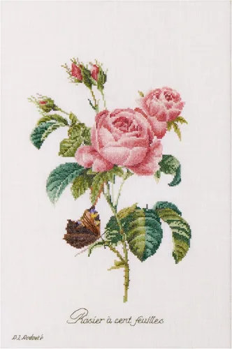 Miniatura 6 de Thea Gouverneur - Kit de punto de cruz con conteo - Rosa Redouté - Aida Black - 18 unidades - Kit de bordado para adultos - Hilos de bordado DMC