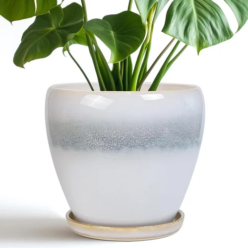 Miniatura 16 de Maceta para Plantas de 6.8 Pulgadas - Maceta de Cerámica con Orificio de Drenaje y Platillo, Maceta Redonda Moderna para Flores, Macetas