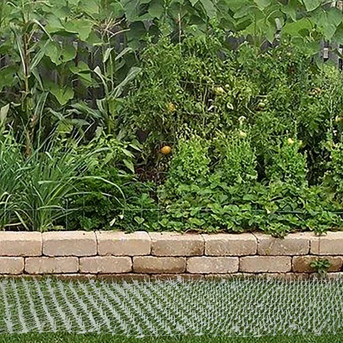 Miniatura 7 de Alfombrilla transparente para gatos (14 pies) con 10 grapas, red anti-gatos con tapón de excavación de púas, alfombrilla disuasoria para gatos