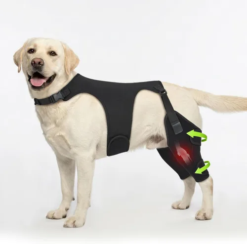 Miniatura 10 de Rodilleras para perro para pierna trasera, soporte ajustable para piernas con 2 estabilizadores, soporte de cadera para reducir el dolor, lesiones