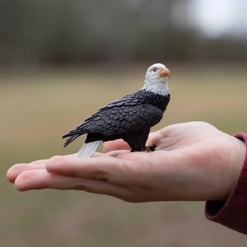 Miniatura 2 de Safari Ltd. Figura de águila calva - Figura de ave realista de 6 cm - Juguete educativo para niños, niñas y niños de 3 años en adelante