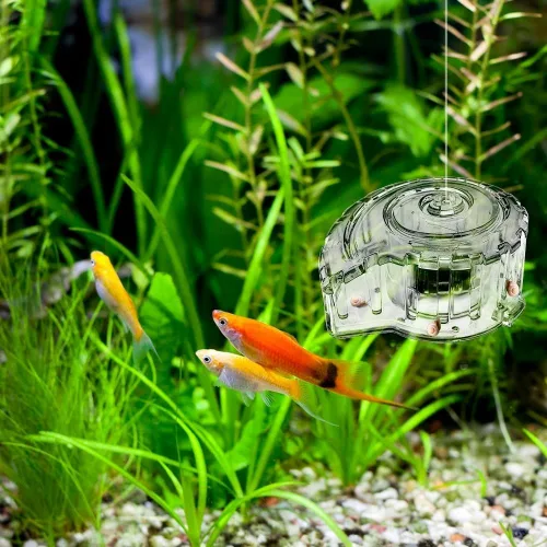 Miniatura 9 de MiOYOOW Planaria - Trampa transparente para caracoles de acuario natural para acuario, tanque de peces, diminuta sanguijuela de caracol