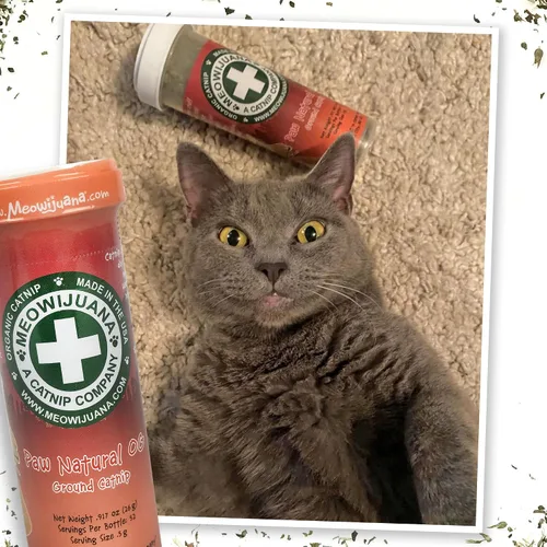 Miniatura 7 de Meowijuana Paquete de hierba gatera seca triturada prémium Purple Passion, Whisker Ticker, y Paw Natural Orgánica Alta potencia Juguetes