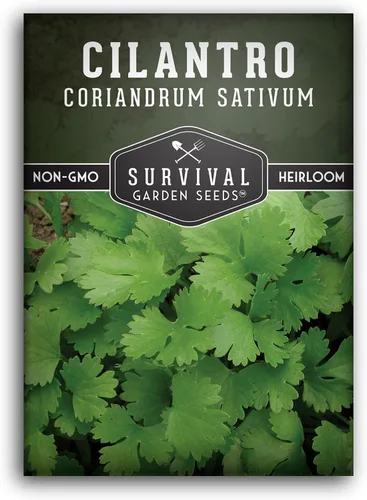 Semillas de cilantro para plantar | Hierba de cilantro sin OMG | Cultivo de jardín interior y exterior | Cosecha confiable de crecimiento rápido –