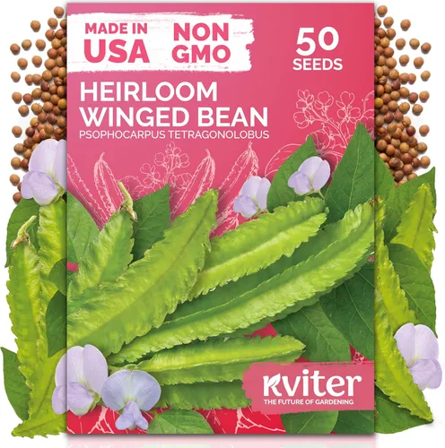 Miniatura 25 de KVITER 100 semillas de pimiento jalapeño Tam (Capsicum Annuum) para plantar – Especia suave, semillas autóctonas perfectas para rellenar, 1000-1500