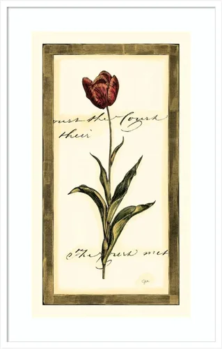Miniatura 7 de Amanti Art Impresión artística enmarcada para pared, 17 x 25 pulgadas, diseño de tulipán I de Vision Studio, póster enmarcado para decoración