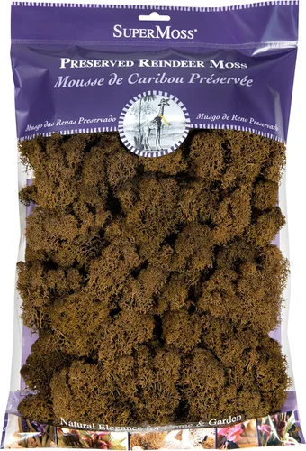 Miniatura 18 de Super Moss 21669 - Musgo de reno preservado, Chartreuse, 8 onzas (200 pulgadas cúbicas)