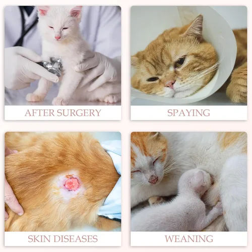 Miniatura 6 de ANWA Traje de Recuperación para Gatos - Mameluco Transpirable para Gatos Después de Cirugía para Hembras, Traje de Recuperación de Cirugía