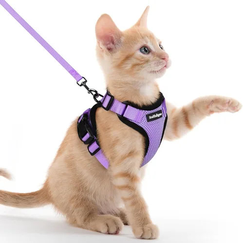 rabbitgoo Juego de arnés y correa para gatos, arnés a prueba de escapes para paseos seguros al aire libre, chaleco suave transpirable ajustable con